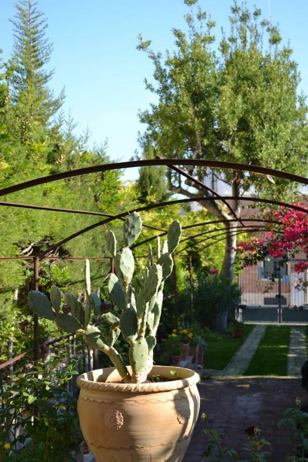 Le Signorine B&B Lecce Exterior foto